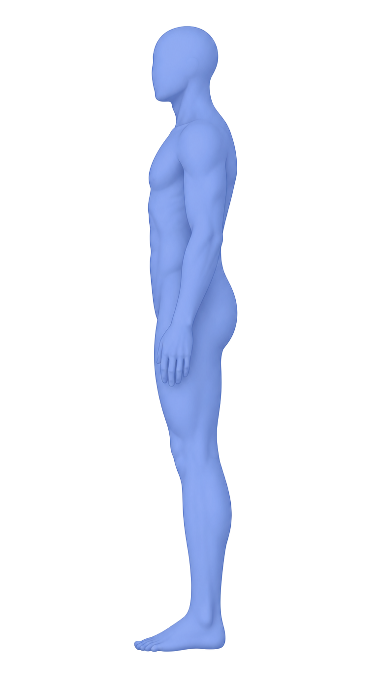 Side-view body scan silhouette